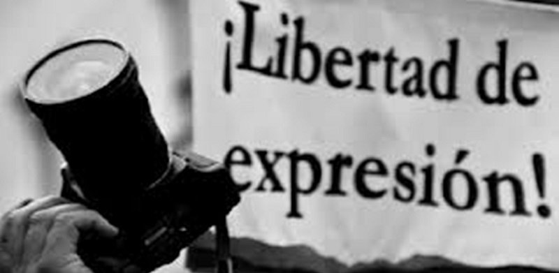 Chihuahua Sin Estadisticas Reales En Libertad De Expresion Easyblog