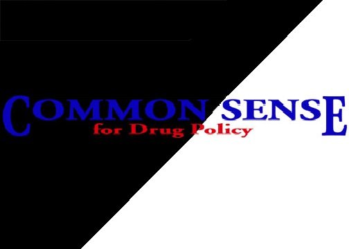 Mexico Plan Adds Police to Take On Drug Cartels