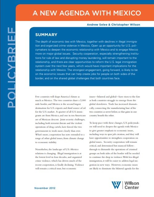 A New Agenda with Mexico. Policy Brief.