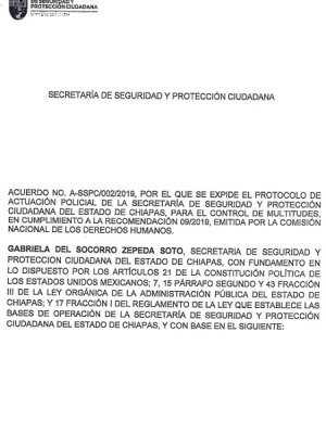 Chiapas Protocolo de Actuación Policial para el Control de Multitudes