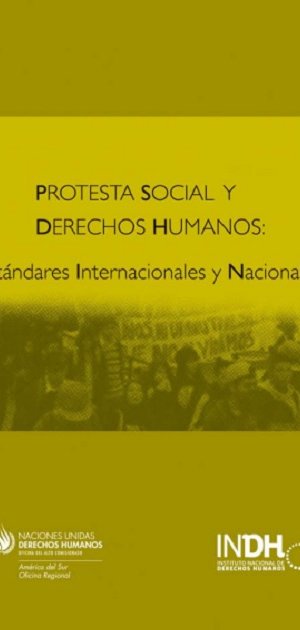 Protesta Social y Derechos Humanos: Estándares Internacionales y Nacionales